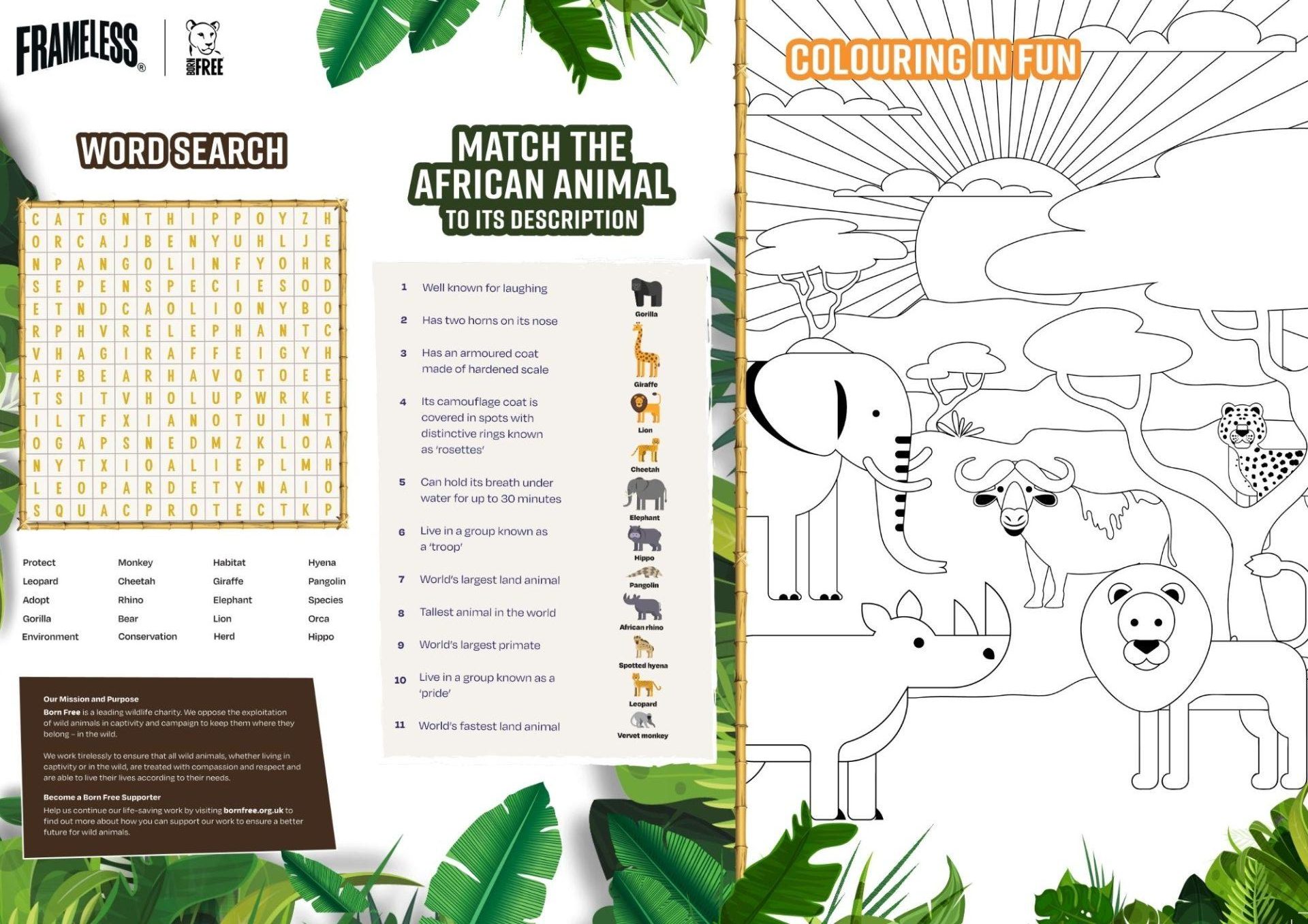The Nikon Comedy Wildlife Awards Activity Sheet